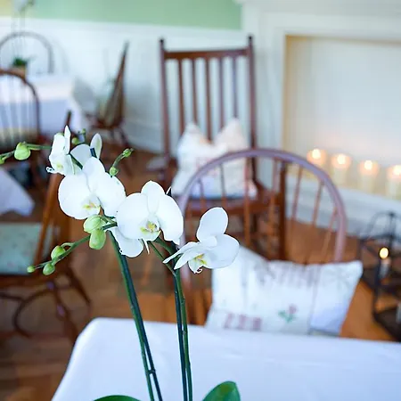 Boutique Bellevue Hotel