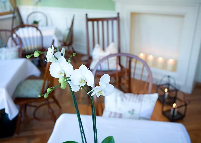 Boutique Bellevue Hotel