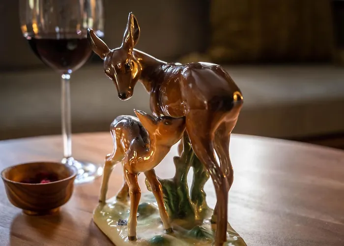 Boutique Bellevue فندق